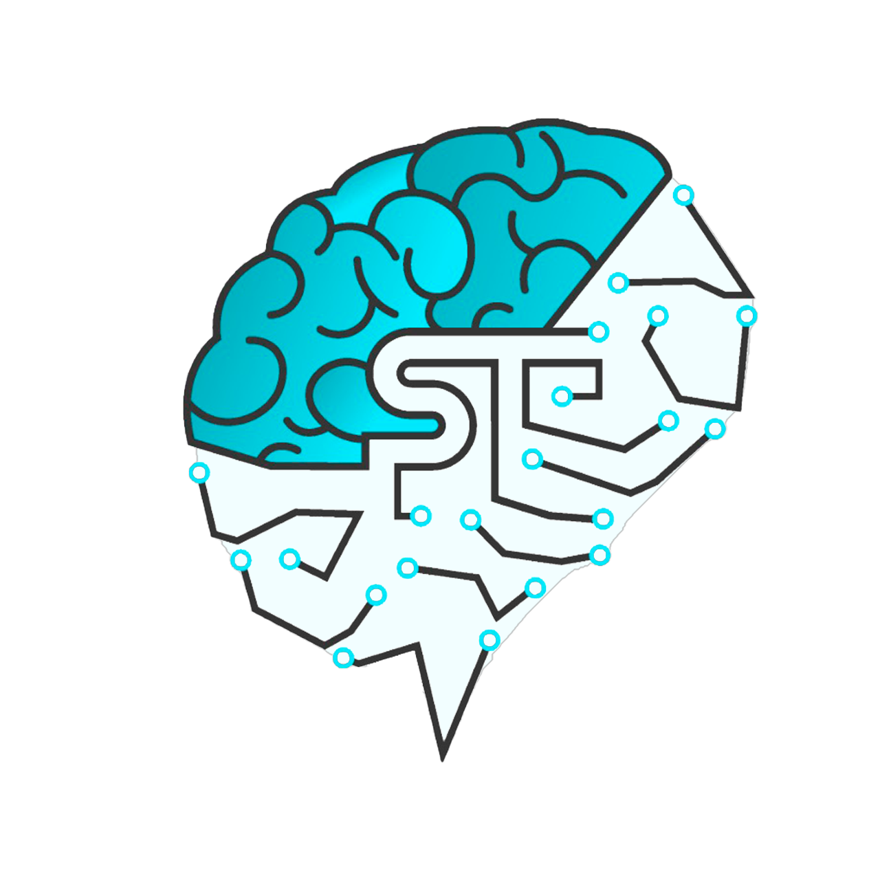 SMTC Logo, Brain SMTC Logo